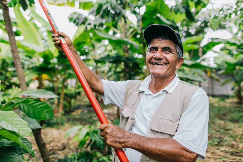 The Price of Ethical Chocolate