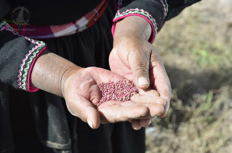 Health Benefits of Quinoa